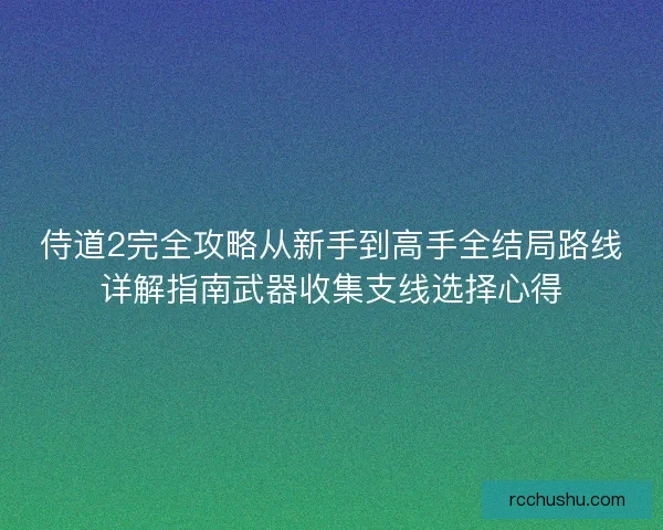 侍道2完全攻略从新手到高手全结局路线详解指南武器收集支线选择心得 侍道2完全攻略从新手到高手全结局路线详解指南武器收集支线选择心得